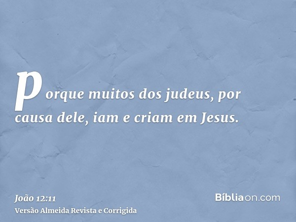 porque muitos dos judeus, por causa dele, iam e criam em Jesus.