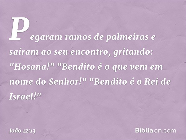 Pegaram ramos de palmeiras e saíram ao seu encontro, gritando:
"Hosana!"
"Bendito é o que vem
em nome do Senhor!"
"Bendito é o Rei de Israel!" -- João 12:13