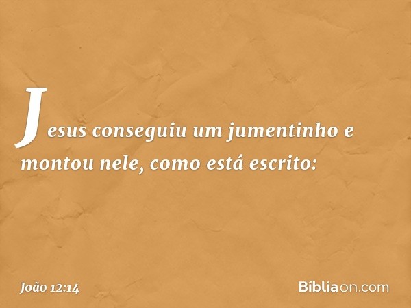 Jesus conseguiu um jumentinho e montou nele, como está escrito: -- João 12:14