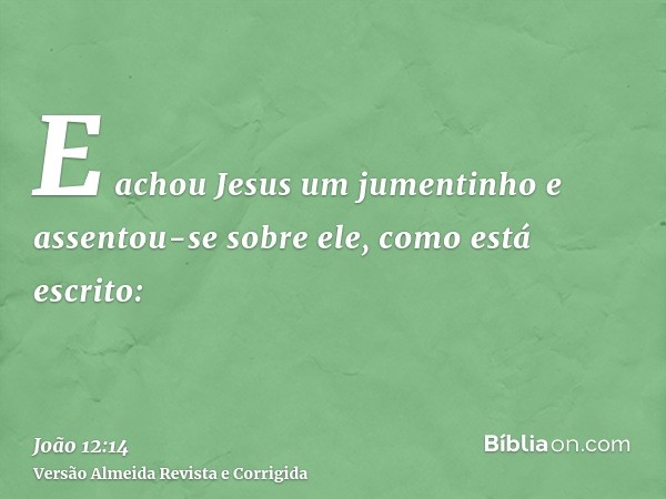 E achou Jesus um jumentinho e assentou-se sobre ele, como está escrito: