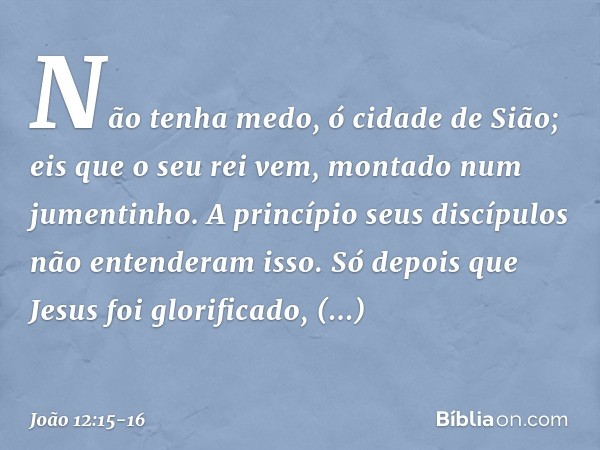 "Não tenha medo,
ó cidade de Sião;
eis que o seu rei vem,
montado num jumentinho". A princípio seus discípulos não entenderam isso. Só depois que Jesus foi glor