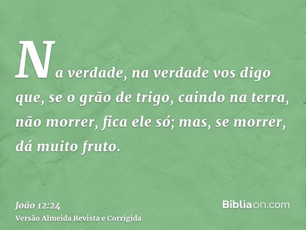 Na verdade, na verdade vos digo que, se o grão de trigo, caindo na terra, não morrer, fica ele só; mas, se morrer, dá muito fruto.