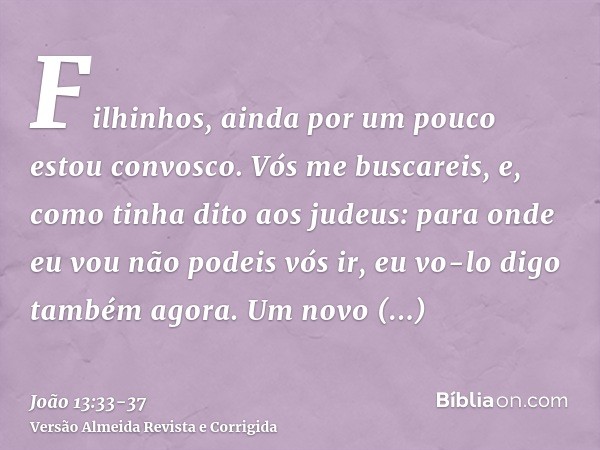 Filhinhos, ainda por um pouco estou convosco. Vós me buscareis, e, como tinha dito aos judeus: para onde eu vou não podeis vós ir, eu vo-lo digo também agora.Um