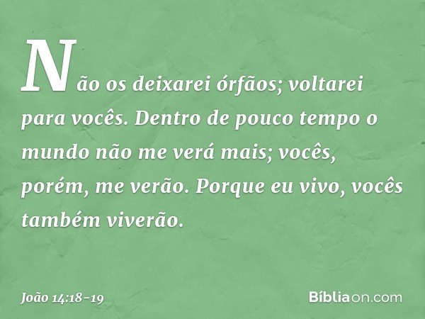 Não os deixarei órfãos; voltarei para vocês. Dentro de pouco tempo o mundo não me verá mais; vocês, porém, me verão. Porque eu vivo, vocês também viverão. -- Jo