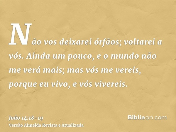 Não vos deixarei órfãos; voltarei a vós.Ainda um pouco, e o mundo não me verá mais; mas vós me vereis, porque eu vivo, e vós vivereis.