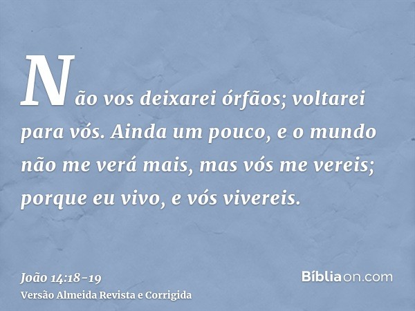 Não vos deixarei órfãos; voltarei para vós.Ainda um pouco, e o mundo não me verá mais, mas vós me vereis; porque eu vivo, e vós vivereis.