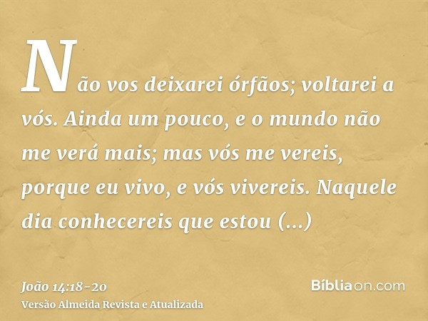 Não vos deixarei órfãos; voltarei a vós.Ainda um pouco, e o mundo não me verá mais; mas vós me vereis, porque eu vivo, e vós vivereis.Naquele dia conhecereis qu