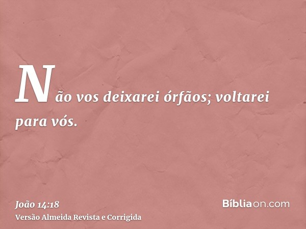 Não vos deixarei órfãos; voltarei para vós.