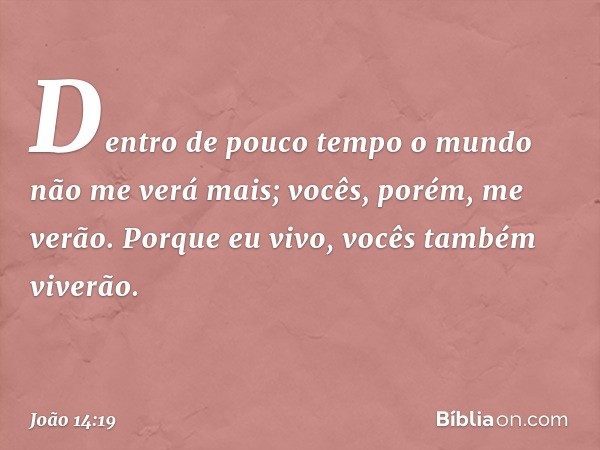 Dentro de pouco tempo o mundo não me verá mais; vocês, porém, me verão. Porque eu vivo, vocês também viverão. -- João 14:19