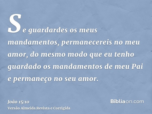 Se guardardes os meus mandamentos, permanecereis no meu amor, do mesmo modo que eu tenho guardado os mandamentos de meu Pai e permaneço no seu amor.