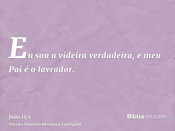 Eu sou a videira verdadeira, e meu Pai é o lavrador.