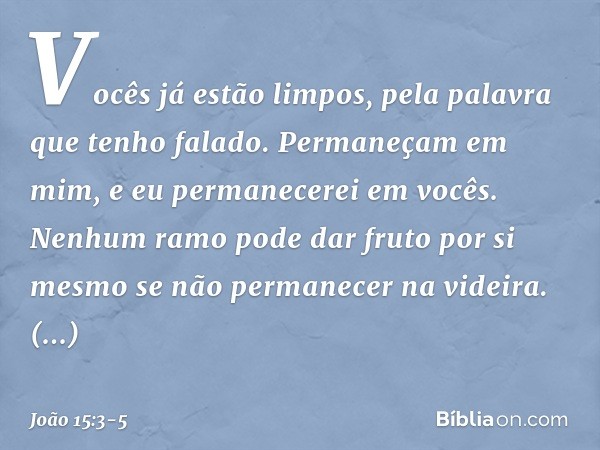 Vocês já estão limpos, pela palavra que tenho falado. Permaneçam em mim, e eu permanecerei em vocês. Nenhum ramo pode dar fruto por si mesmo se não permanecer n