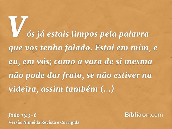 Vós já estais limpos pela palavra que vos tenho falado.Estai em mim, e eu, em vós; como a vara de si mesma não pode dar fruto, se não estiver na videira, assim 