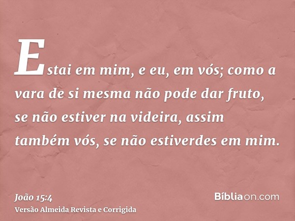 Estai em mim, e eu, em vós; como a vara de si mesma não pode dar fruto, se não estiver na videira, assim também vós, se não estiverdes em mim.