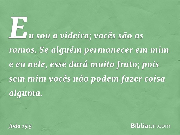 "Eu sou a videira; vocês são os ramos. Se alguém permanecer em mim e eu nele, esse dará muito fruto; pois sem mim vocês não podem fazer coisa alguma. -- João 15