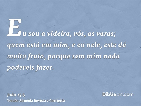 Eu sou a videira, vós, as varas; quem está em mim, e eu nele, este dá muito fruto, porque sem mim nada podereis fazer.