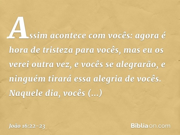 Assim acontece com vocês: agora é hora de tristeza para vocês, mas eu os verei outra vez, e vocês se alegrarão, e ninguém tirará essa alegria de vocês. Naquele 