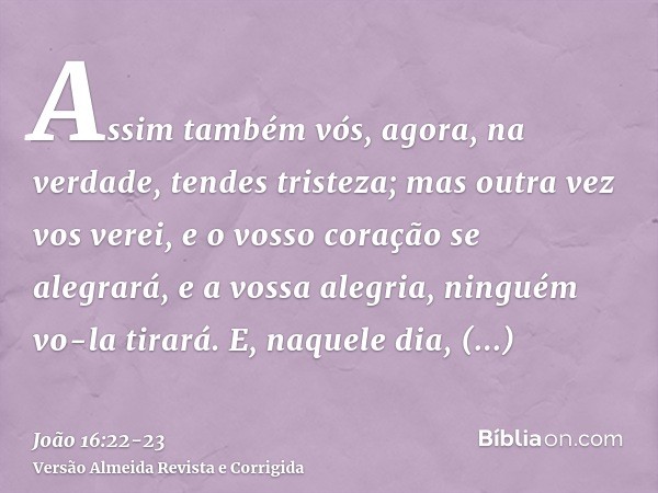 Assim também vós, agora, na verdade, tendes tristeza; mas outra vez vos verei, e o vosso coração se alegrará, e a vossa alegria, ninguém vo-la tirará.E, naquele