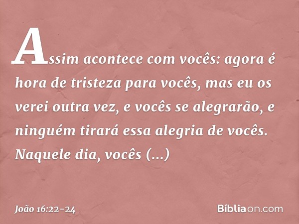 Assim acontece com vocês: agora é hora de tristeza para vocês, mas eu os verei outra vez, e vocês se alegrarão, e ninguém tirará essa alegria de vocês. Naquele 