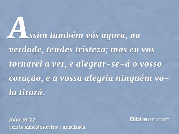 Assim também vós agora, na verdade, tendes tristeza; mas eu vos tornarei a ver, e alegrar-se-á o vosso coração, e a vossa alegria ninguém vo-la tirará.