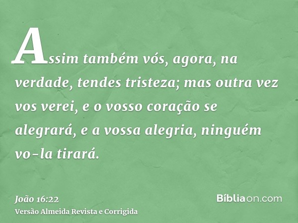 Assim também vós, agora, na verdade, tendes tristeza; mas outra vez vos verei, e o vosso coração se alegrará, e a vossa alegria, ninguém vo-la tirará.