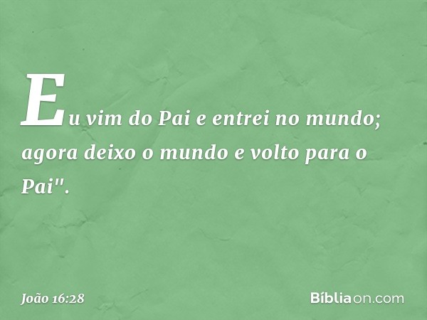 Eu vim do Pai e entrei no mundo; agora deixo o mundo e volto para o Pai". -- João 16:28