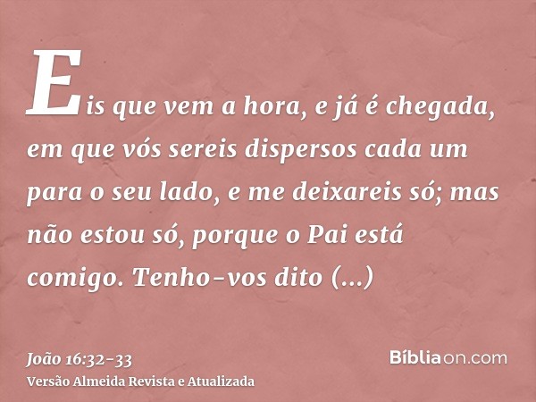 Eis que vem a hora, e já é chegada, em que vós sereis dispersos cada um para o seu lado, e me deixareis só; mas não estou só, porque o Pai está comigo.Tenho-vos