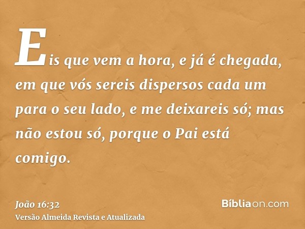 Eis que vem a hora, e já é chegada, em que vós sereis dispersos cada um para o seu lado, e me deixareis só; mas não estou só, porque o Pai está comigo.