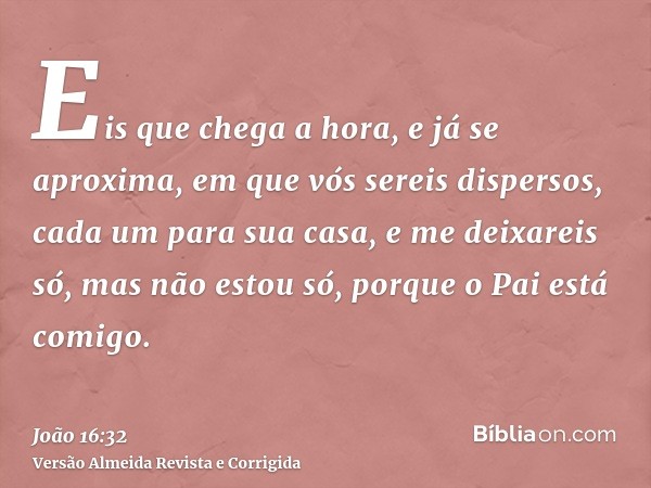 Eis que chega a hora, e já se aproxima, em que vós sereis dispersos, cada um para sua casa, e me deixareis só, mas não estou só, porque o Pai está comigo.