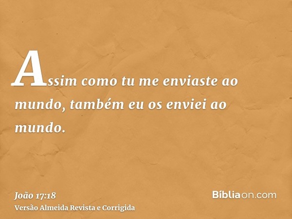 Assim como tu me enviaste ao mundo, também eu os enviei ao mundo.