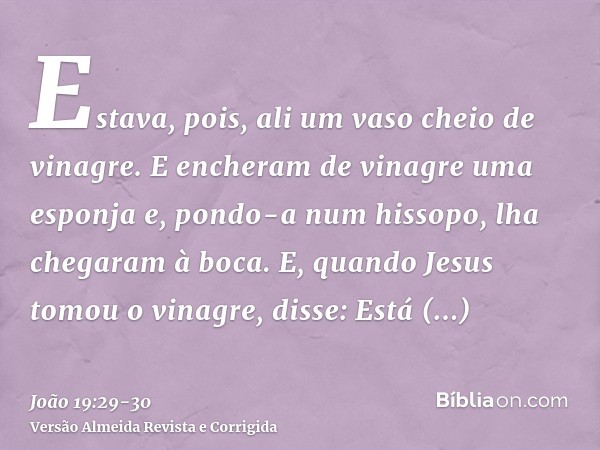 Estava, pois, ali um vaso cheio de vinagre. E encheram de vinagre uma esponja e, pondo-a num hissopo, lha chegaram à boca.E, quando Jesus tomou o vinagre, disse