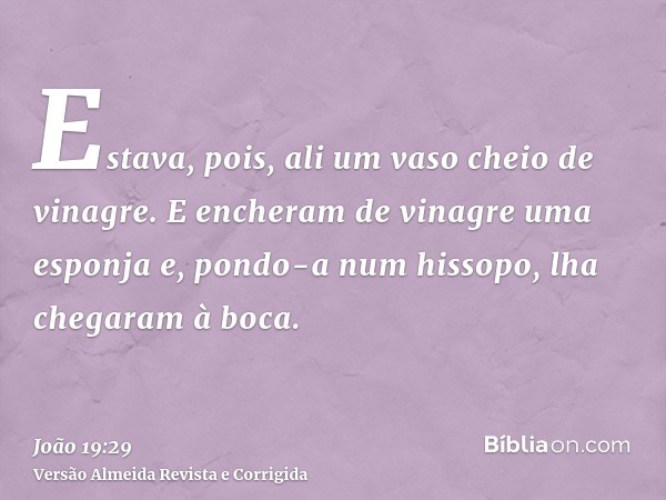 Estava, pois, ali um vaso cheio de vinagre. E encheram de vinagre uma esponja e, pondo-a num hissopo, lha chegaram à boca.