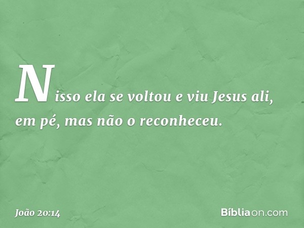 Nisso ela se voltou e viu Jesus ali, em pé, mas não o reconheceu. -- João 20:14