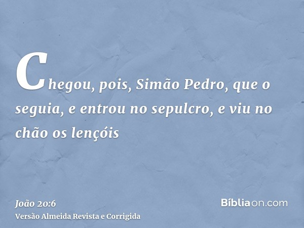 Chegou, pois, Simão Pedro, que o seguia, e entrou no sepulcro, e viu no chão os lençóis