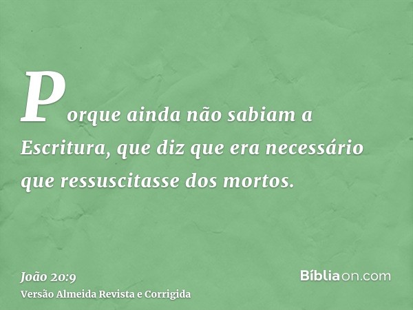 Porque ainda não sabiam a Escritura, que diz que era necessário que ressuscitasse dos mortos.