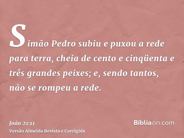Simão Pedro subiu e puxou a rede para terra, cheia de cento e cinqüenta e três grandes peixes; e, sendo tantos, não se rompeu a rede.