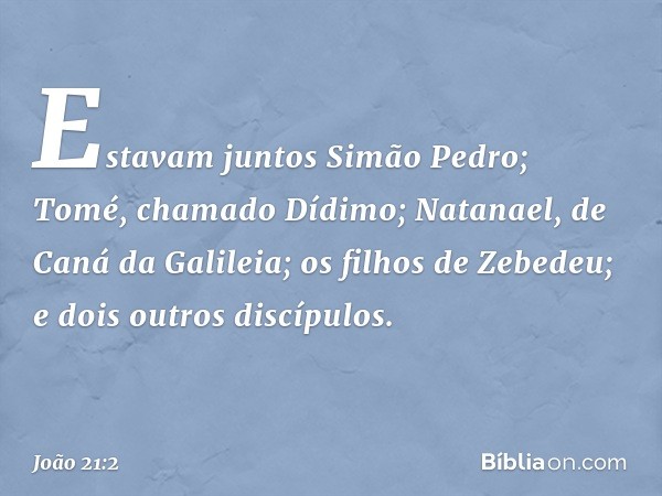 Estavam juntos Simão Pedro; Tomé, chamado Dídimo; Natanael, de Caná da Galileia; os filhos de Zebedeu; e dois outros discípulos. -- João 21:2