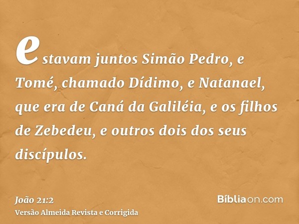 estavam juntos Simão Pedro, e Tomé, chamado Dídimo, e Natanael, que era de Caná da Galiléia, e os filhos de Zebedeu, e outros dois dos seus discípulos.