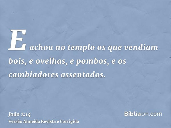E achou no templo os que vendiam bois, e ovelhas, e pombos, e os cambiadores assentados.