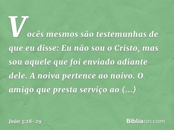 Vocês mesmos são testemunhas de que eu disse: Eu não sou o Cristo, mas sou aquele que foi enviado adiante dele. A noiva pertence ao noivo. O amigo que presta se