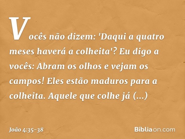 Vocês não dizem: 'Daqui a quatro meses haverá a colheita'? Eu digo a vocês: Abram os olhos e vejam os campos! Eles estão maduros para a colheita. Aquele que col