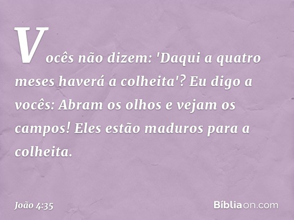 Vocês não dizem: 'Daqui a quatro meses haverá a colheita'? Eu digo a vocês: Abram os olhos e vejam os campos! Eles estão maduros para a colheita. -- João 4:35