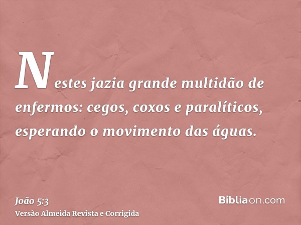 Nestes jazia grande multidão de enfermos: cegos, coxos e paralíticos, esperando o movimento das águas.