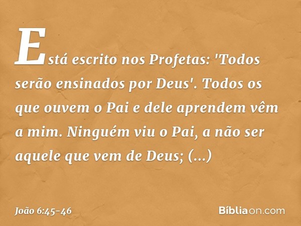 Está escrito nos Profetas: 'Todos serão ensinados por Deus'. Todos os que ouvem o Pai e dele aprendem vêm a mim. Ninguém viu o Pai, a não ser aquele que vem de