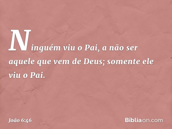 Ninguém viu o Pai, a não ser aquele que vem de Deus; somente ele viu o Pai. -- João 6:46