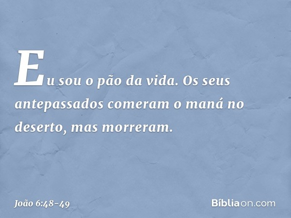 Eu sou o pão da vida. Os seus antepassados comeram o maná no deserto, mas morreram. -- João 6:48-49
