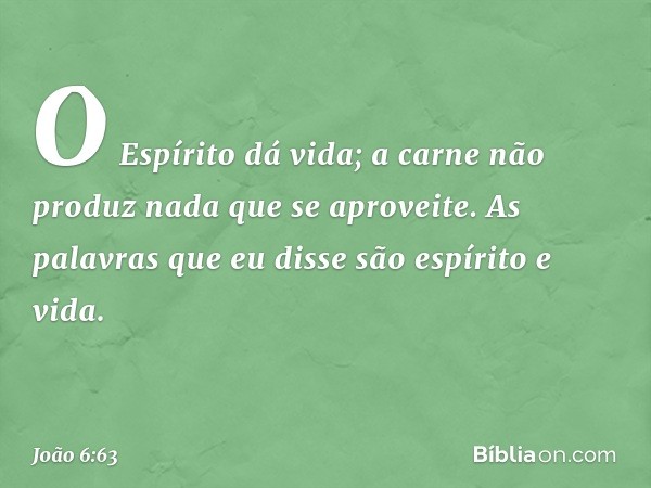 O Espírito dá vida; a carne não produz nada que se aproveite. As palavras que eu disse são espírito e vida. -- João 6:63