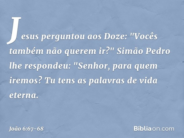 Jesus perguntou aos Doze: "Vocês também não querem ir?" Simão Pedro lhe respondeu: "Senhor, para quem iremos? Tu tens as palavras de vida eterna. -- João 6:67-6