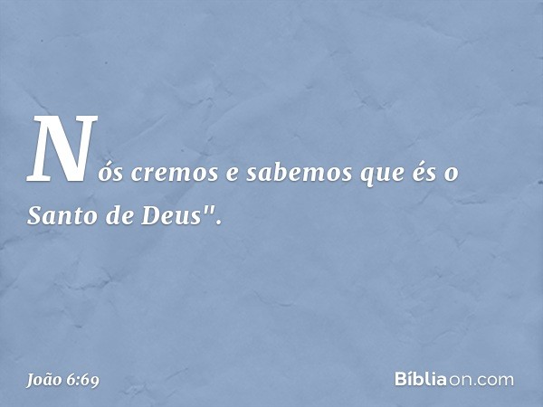 Nós cremos e sabemos que és o Santo de Deus". -- João 6:69