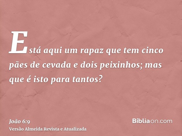 Está aqui um rapaz que tem cinco pães de cevada e dois peixinhos; mas que é isto para tantos?